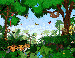 habitat